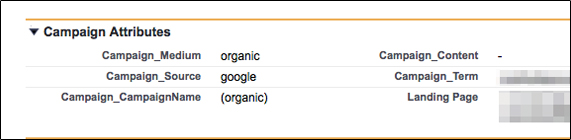 Salesforce Google Analytics Fields