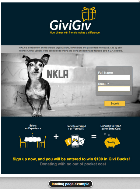 Landing Page Example