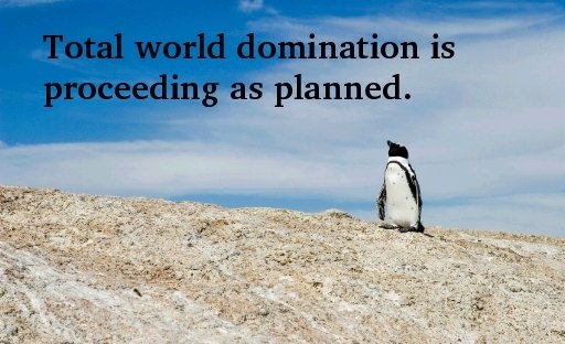 World Domination
