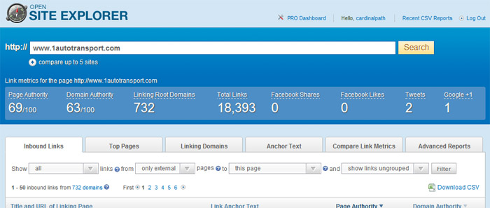 Open Site Explorer screenshot